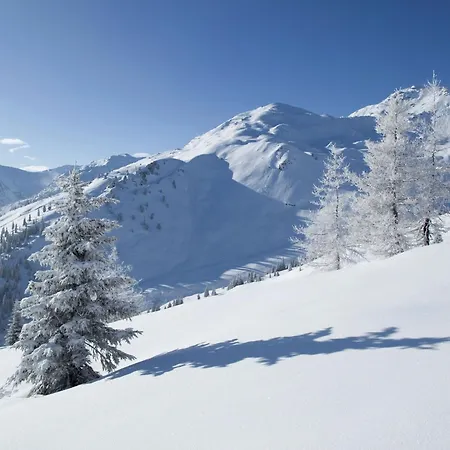 Near Arena Apartamento *