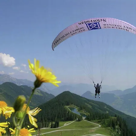 Apartamento Near Arena Zell am Ziller